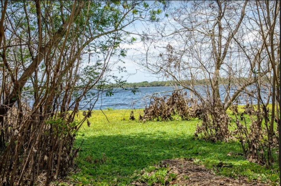 From Plenty to Peril: Lake Kenyatta's Spirited Fight for Survival