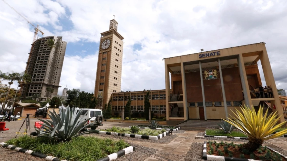 Finance Bill 2024 bad for Kenyans and the economy - Deloitte Finance Bill 2024 bad for Kenyans and the economy - Deloitte