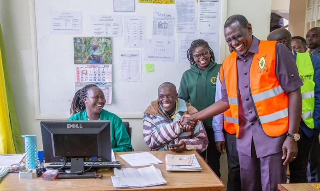 Sellers of fake fertiliser to face the law, President Ruto warns