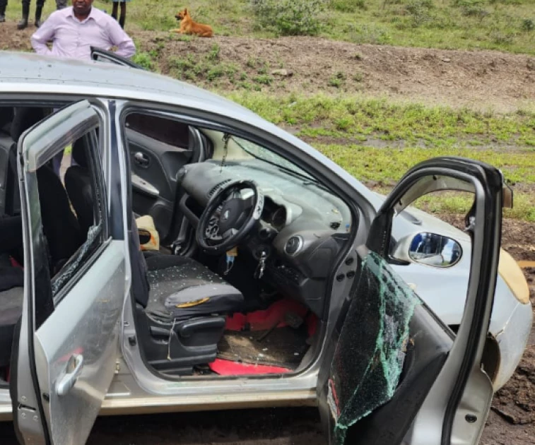Suspected robber shot dead after car got stuck in mud during high-speed ...