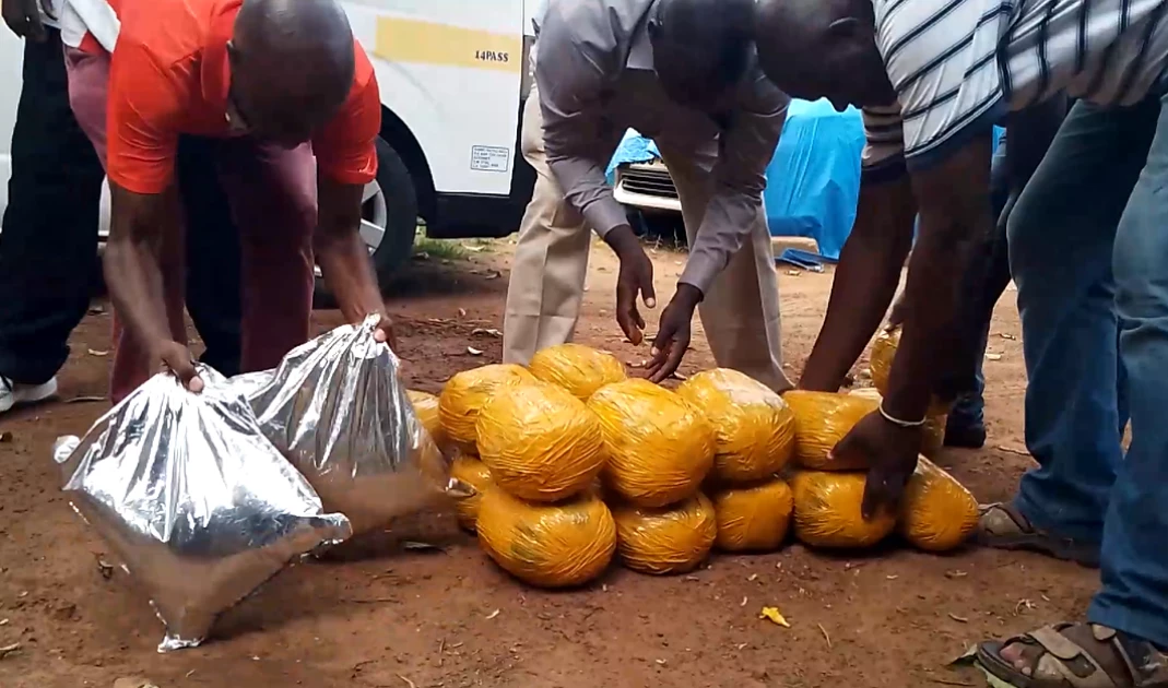 Three women arrested while transporting bhang, chang'aa from Uganda to Kayole