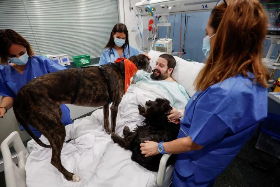 Spanish hospital enlists therapy dogs to boost ICU patients' morale Spanish hospital enlists therapy dogs to boost ICU patients' morale