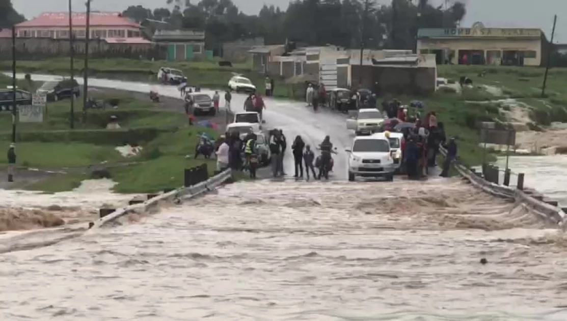 Heavy Rains Destroy 14 Roads, kill 4,795 Livestock in one day: Red Cross Heavy Rains Destroy 14 Roads, kill 4,795 Livestock in one day: Red Cross