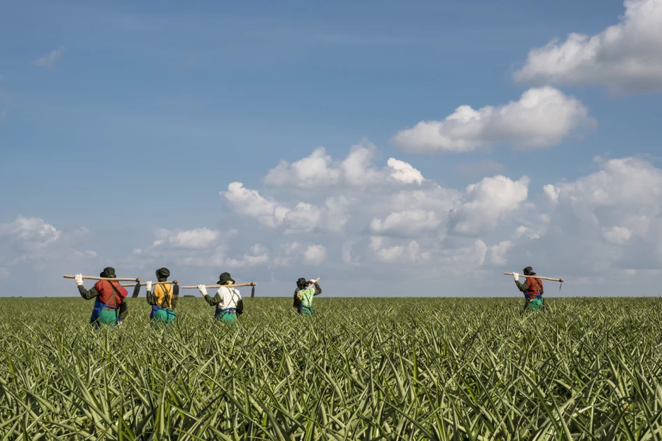 Employee welfare: Long-serving Del Monte workers tell success stories Employee welfare: Long-serving Del Monte workers tell success stories