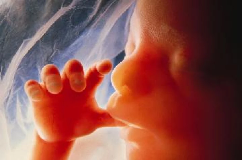 Thumb-sucking: Why your baby does it and the potential risks involved Thumb-sucking: Why your baby does it and the potential risks involved