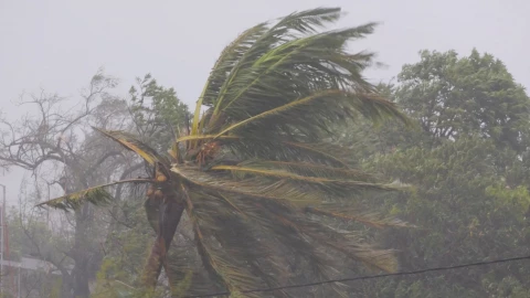 17 families left homeless as windstorm hits Homa Bay