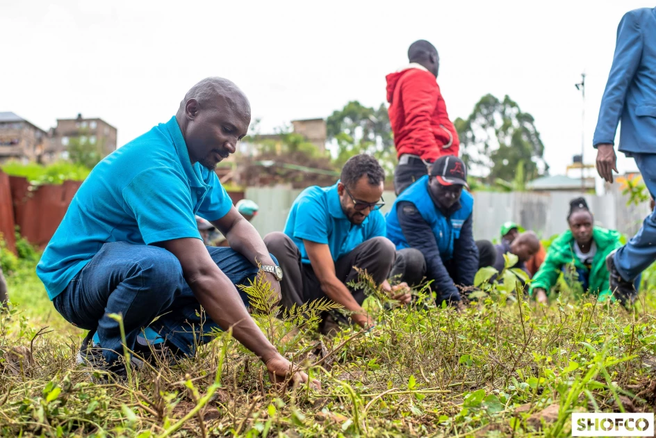 SHOFCO leads CBOs in tree planting exercise in Nairobi  