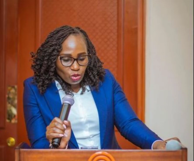 Finance Bill 2024 will inflict more pain on low income households – LSK Finance Bill 2024 will inflict more pain on low income households – LSK