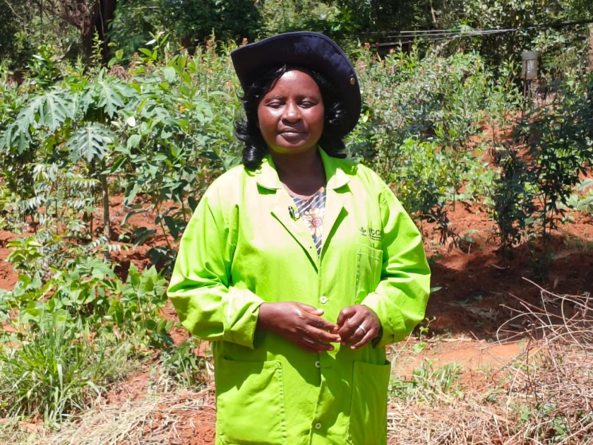 From nursing dreams to seed saviour: Can one woman transform Kenya's food security? From nursing dreams to seed saviour: Can one woman transform Kenya's food security?
