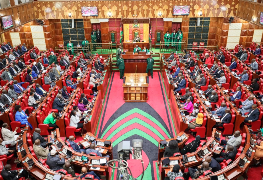 Petition now filed urging court to declare the National Assembly unconstitutional