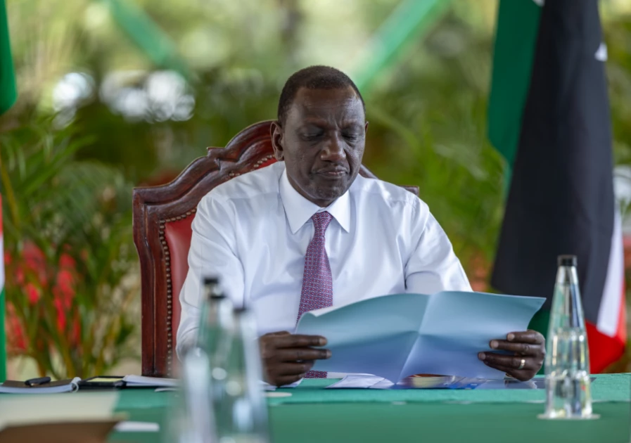 EXPLAINER: The 5 steps before the controversial Finance Bill becomes law