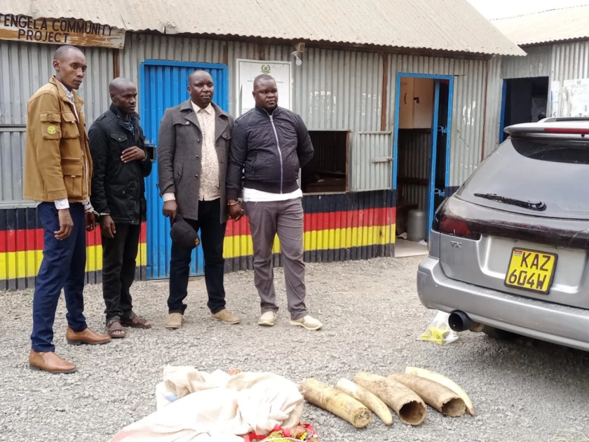 Three police officers arrested in Kitengela, elephant tusks, guns recovered Three police officers arrested in Kitengela, elephant tusks, guns recovered
