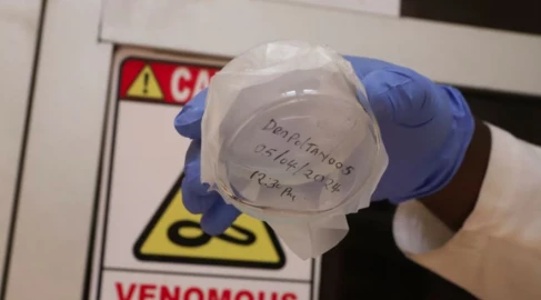 Siaya: Family in Uloma ‘B’ village narrowly escapes python attack  