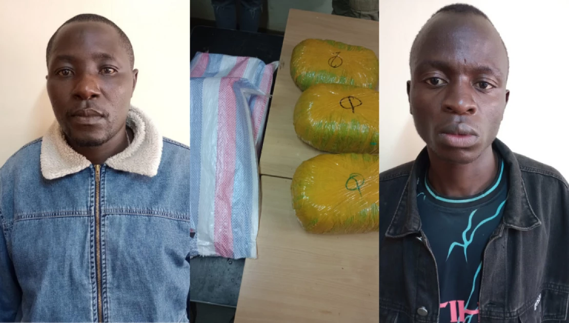 Two men arrested after arriving in Nairobi from Busia with bhang worth Ksh.990K
