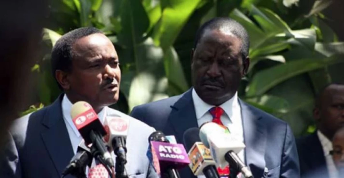 Kalonzo convinced me to join Ruto's call for dialogue at KICC - Raila