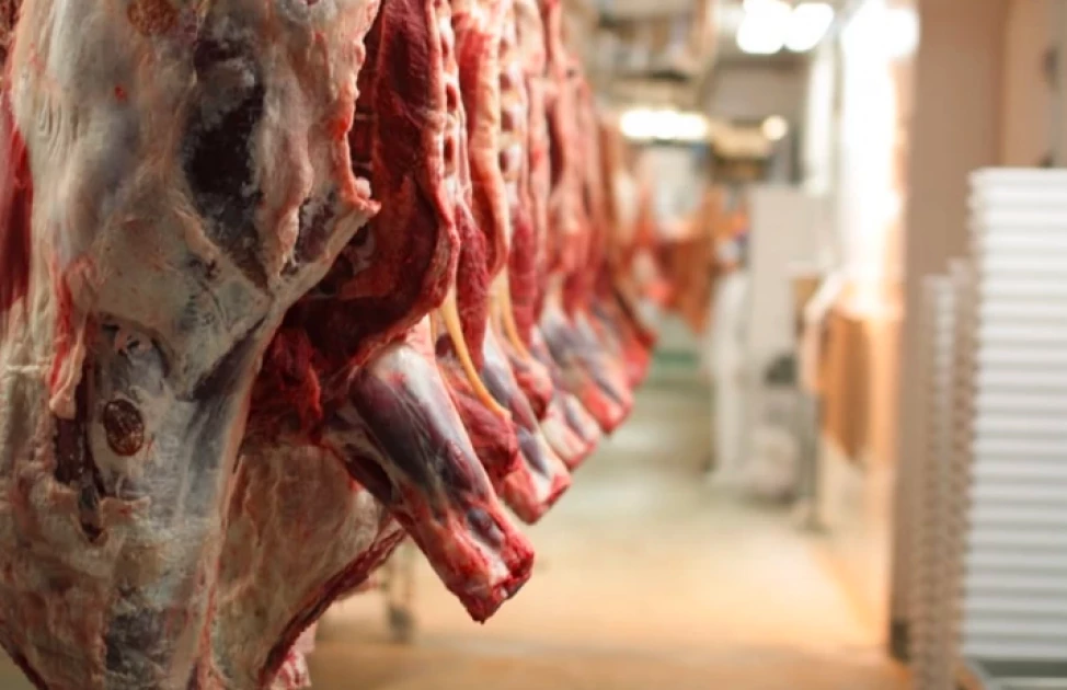 KVA condemns Nakuru County Gov't plans to close down multi-million Naivasha slaughterhouse for affordable housing project KVA condemns Nakuru County Gov't plans to close down multi-million Naivasha slaughterhouse for affordable housing project