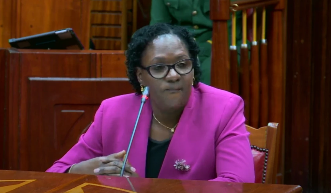 Plans underway to repatriate stolen Kenyan artefacts, CS nominee Soi tells parliament 