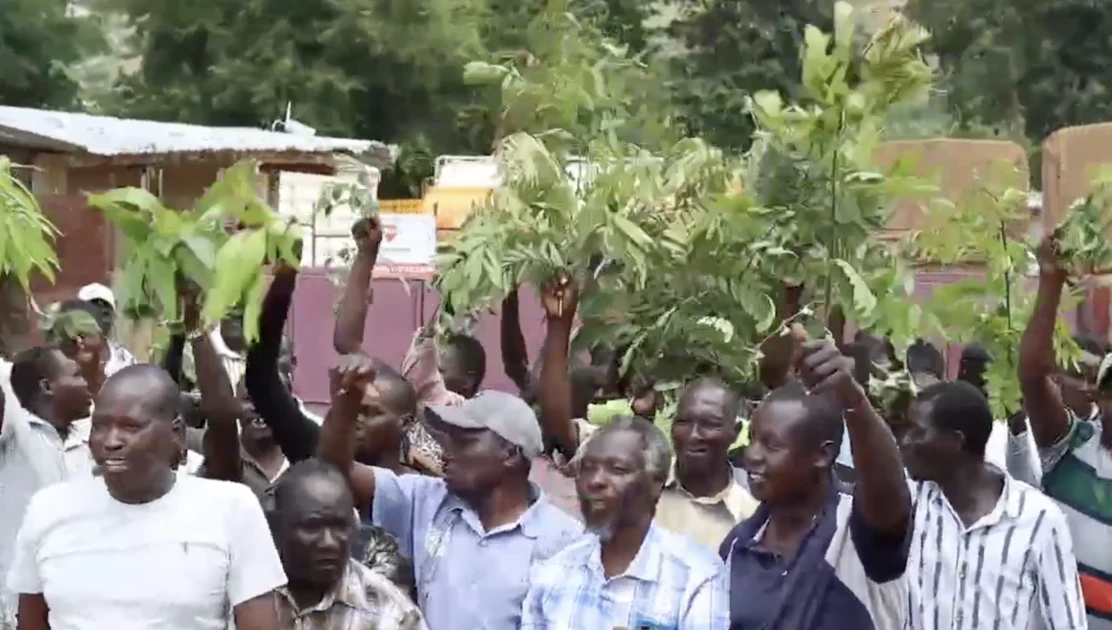Elgeyo Marakwet: Locals hold demos over stalled road project