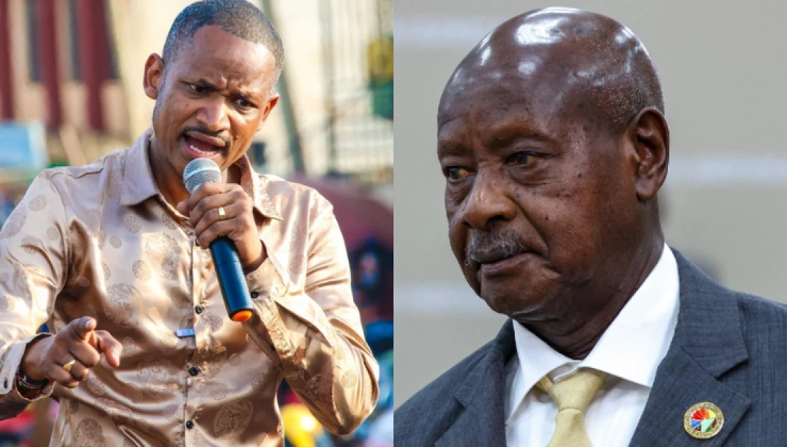 MP Babu Owino responds to Ugandan President Yoweri Museveni MP Babu Owino responds to Ugandan President Yoweri Museveni