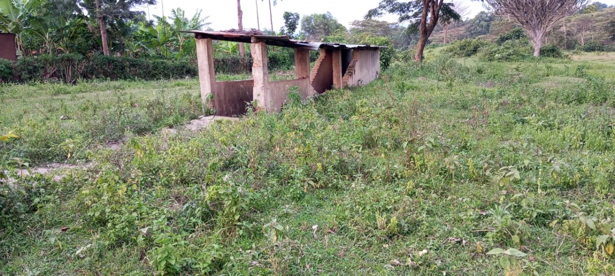 The abandoned cattle dips of Bungoma county