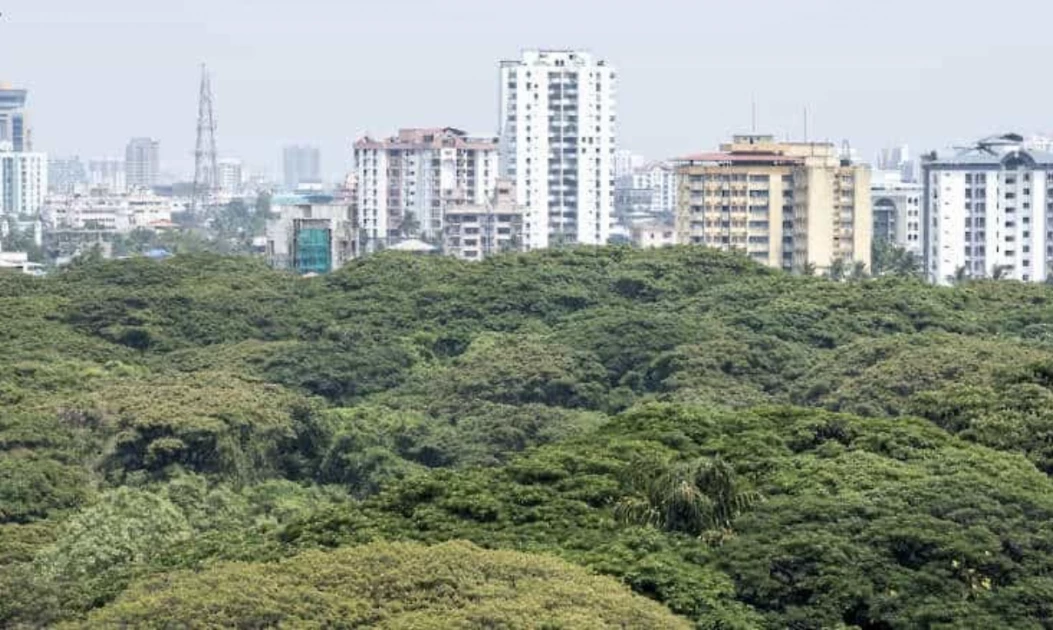 Kenya Green Building Society launches landmark 2024 conference in Nairobi