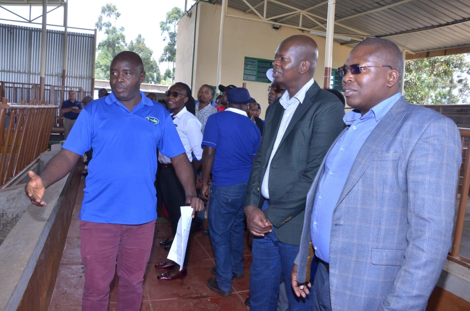 Tetra Pak rewards best Githunguri Dairy Farmers in ‘Maize for Silage’ competition Tetra Pak rewards best Githunguri Dairy Farmers in ‘Maize for Silage’ competition