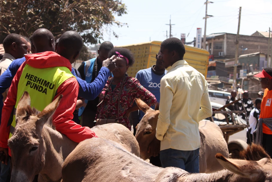 World Animal Day: Youthful donkey owners receive life skills training to provide compassionate care World Animal Day: Youthful donkey owners receive life skills training to provide compassionate care