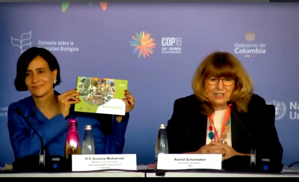 COP 16 highlights urgent need for action amid limited funding for biodiversity initiatives COP 16 highlights urgent need for action amid limited funding for biodiversity initiatives