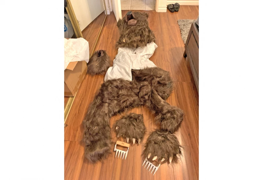 Insurance fraudsters dressed as bears to wreck cars: US agency