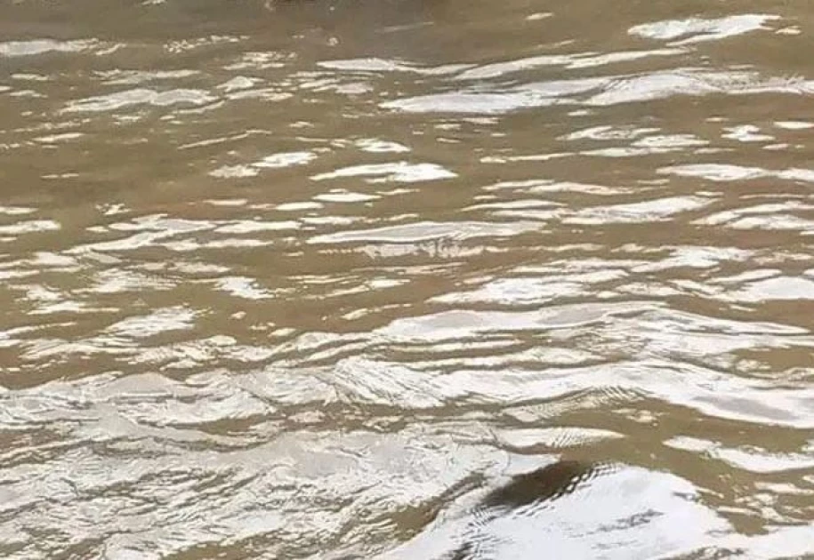 Kakamega: Body of man who went missing on Friday retrieved from a river Kakamega: Body of man who went missing on Friday retrieved from a river