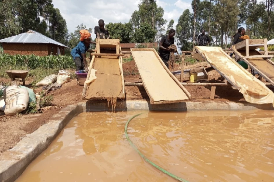 Ticking time bomb: Migori residents risk their lives in gold mining trade as mercury poses health concerns