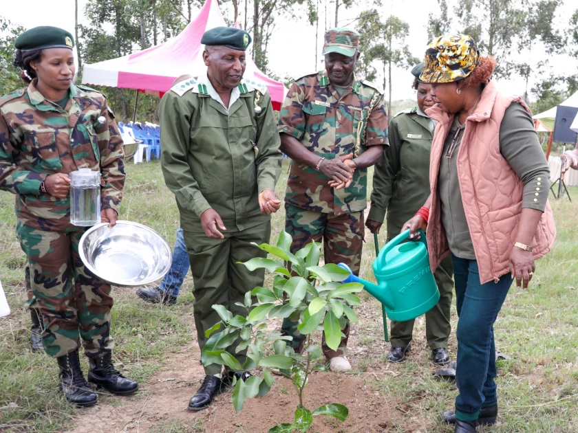CS Alice Wahome leads tree planting exercise in Nyeri County