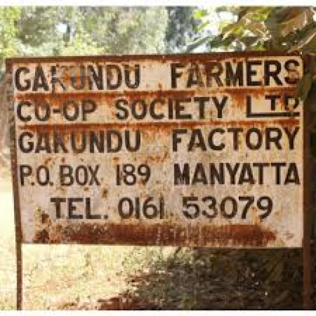 Coffee farmers in Manyatta fight to save Cooperative from auction over Ksh.60M debt Coffee farmers in Manyatta fight to save Cooperative from auction over Ksh.60M debt