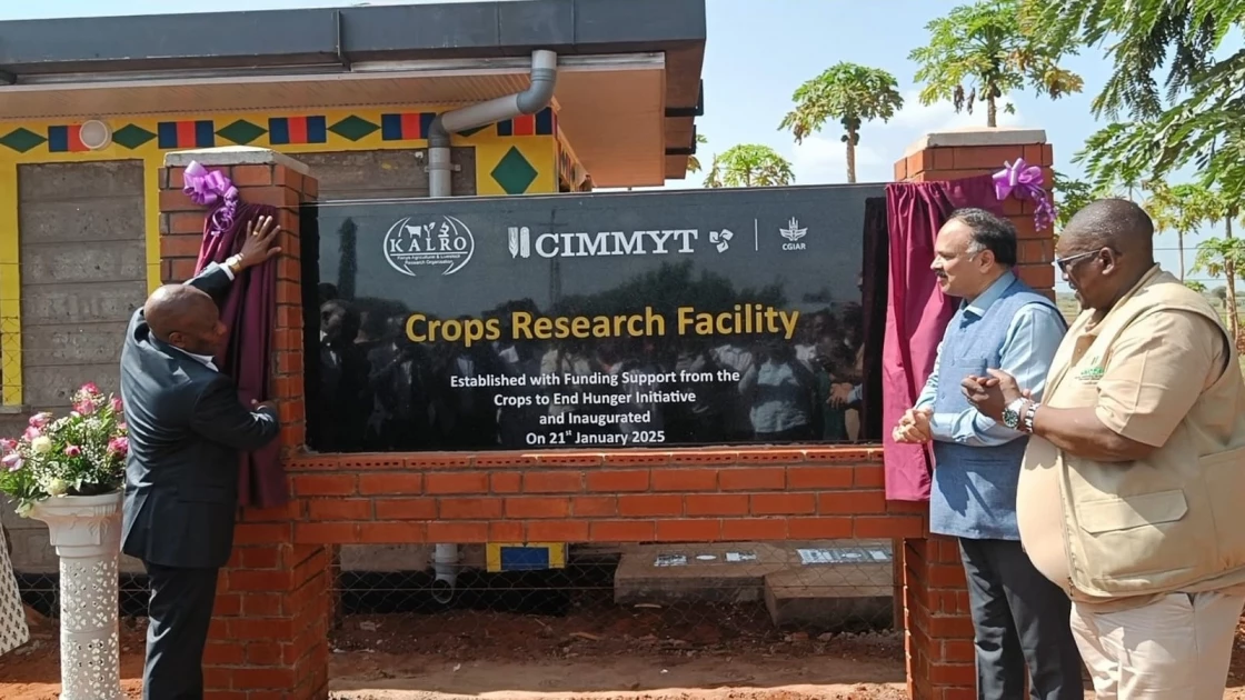 Kiboko Research Station upgraded with Ksh.271M investment to enhance agricultural research Kiboko Research Station upgraded with Ksh.271M investment to enhance agricultural research