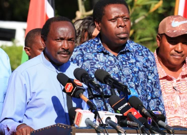 One term is a reality: Opposition criticises gov't over rice importation plan