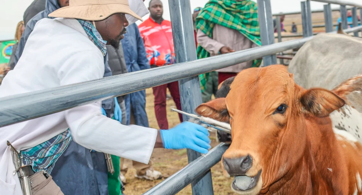 Ripple Effect to offer Kenyan farmers veterinary support in upcoming trade fair