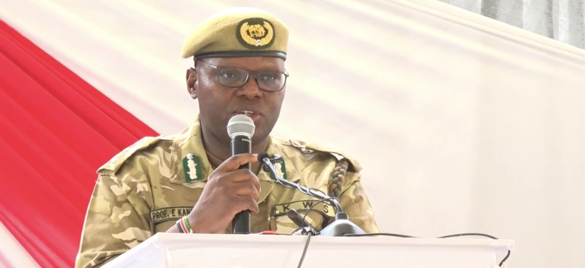 'Curse turned cash cow': Meet once-shunned family breeding monitor lizards and tortoises 'for food & as pets'