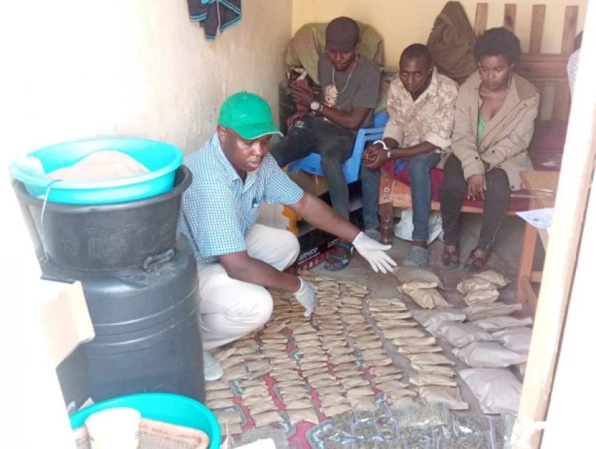 Two arrested as NACADA seizes bhang, packaging equipment in Juja