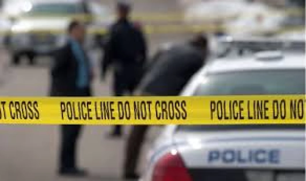 France customs seize 800kg of cocaine from truck