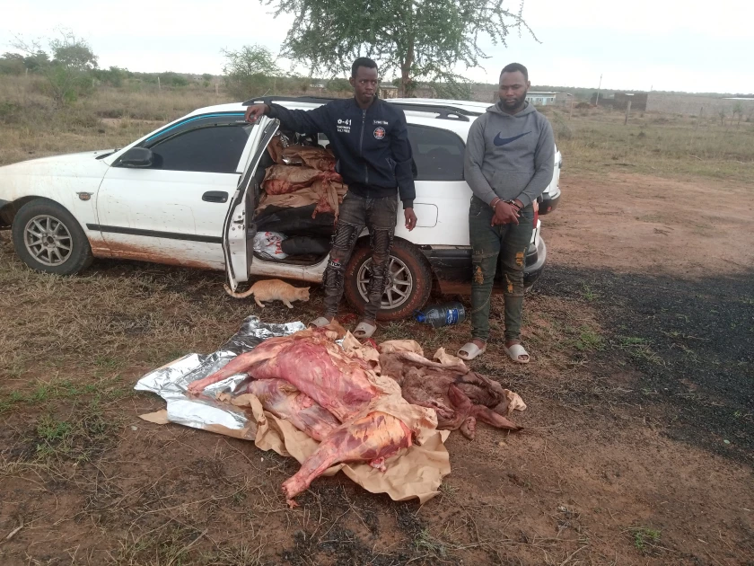Two men busted ferrying donkey meat and skin in Kitui Two men busted ferrying donkey meat and skin in Kitui