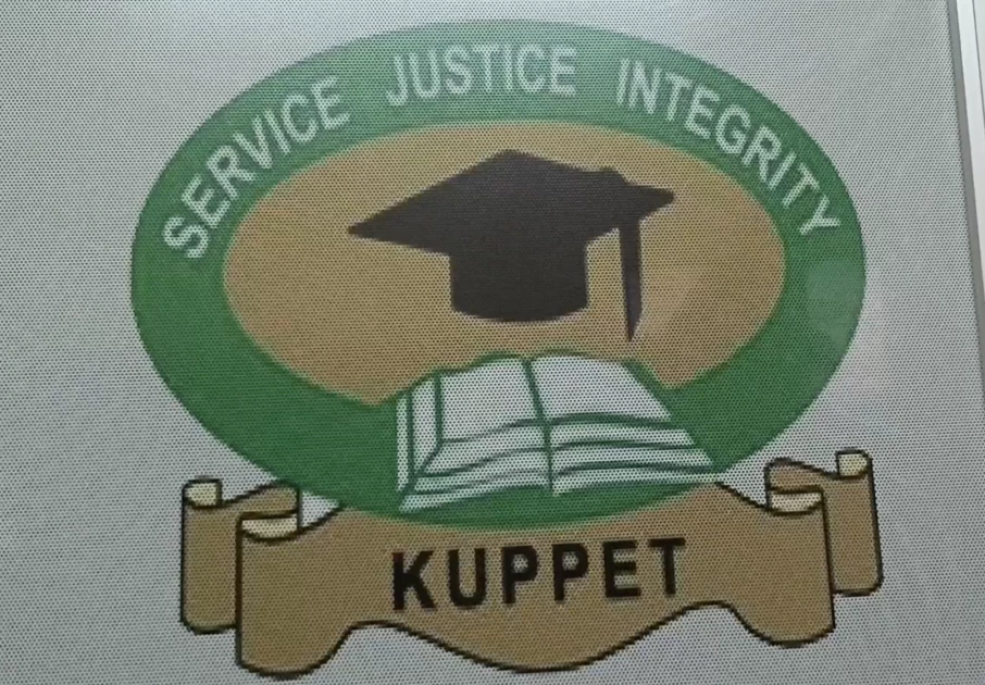 Embu teachers skipping classes 'to search for herbal remedies in the bush’ over SHA failures  