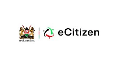 e-Citizen platform at risk of collapse amid contract controversy