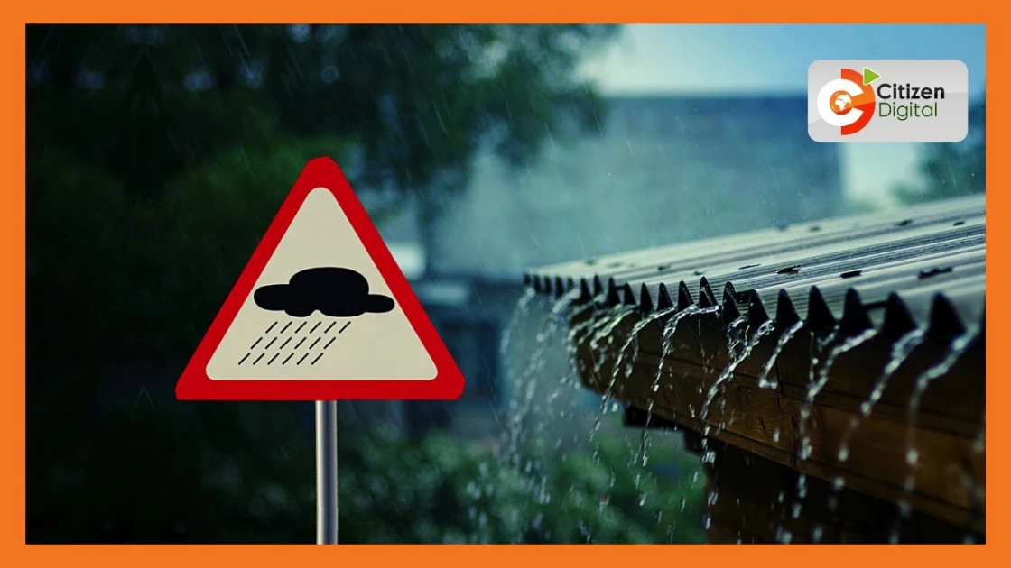 Busia: Four escape death as tree falls on house in Butula