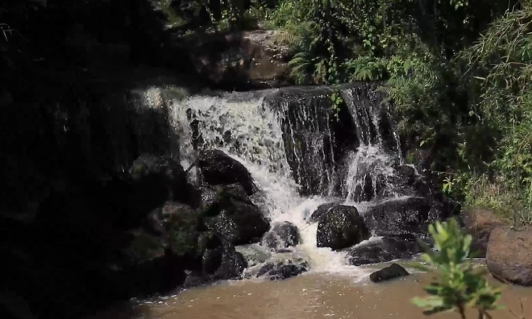 Over 1,500 residents to benefit from new irrigation project in Lari Constituency Over 1,500 residents to benefit from new irrigation project in Lari Constituency