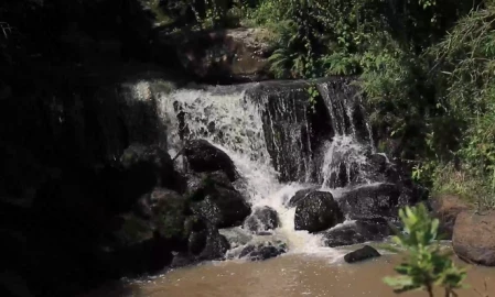 Over 1,500 residents to benefit from new irrigation project in Lari Constituency