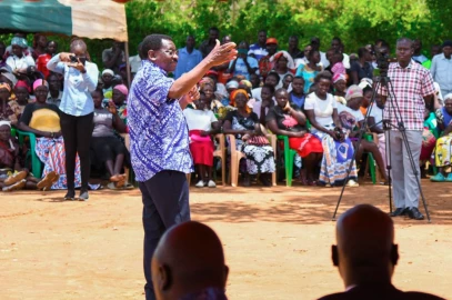 Governor Orengo wants 66-year lease of Yala Swamp to foreign investor revoked 