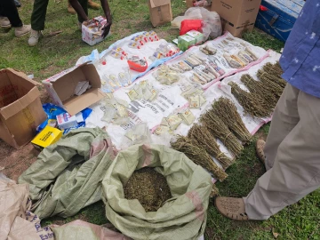 Two arrested as NACADA nets drugs worth Ksh.2.9M seized in Siaya