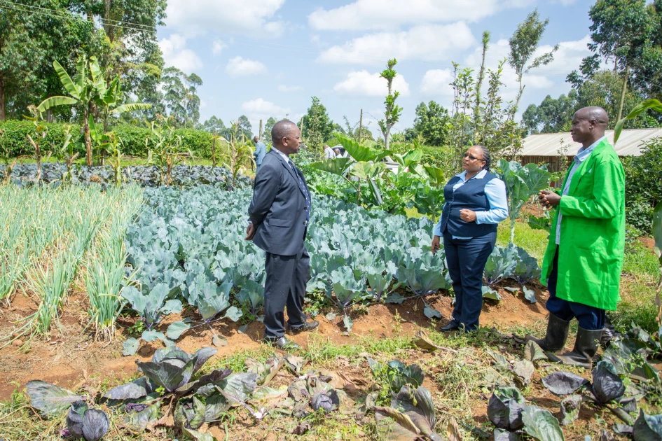 Kirinyaga farmers embrace organic farming amid growing health consciousness Kirinyaga farmers embrace organic farming amid growing health consciousness
