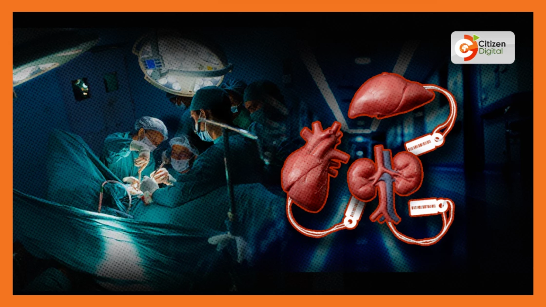 'We were given Ksh.50,000 upfront': Kenyans reveal to MPs how they were duped into donating kidneys 'We were given Ksh.50,000 upfront': Kenyans reveal to MPs how they were duped into donating kidneys