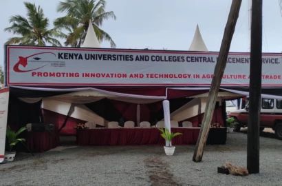 Concerns as over half of university qualifiers yet to apply for placement